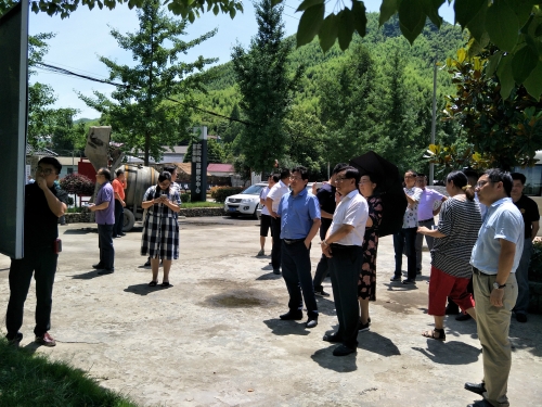 IMG20180626105024.jpg
